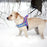 Didog Warm Dog Harness Vest Winter Dog