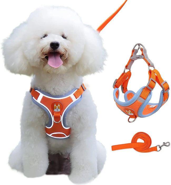 Adjustable Reflective Small and Medium Dog Harness with Leash