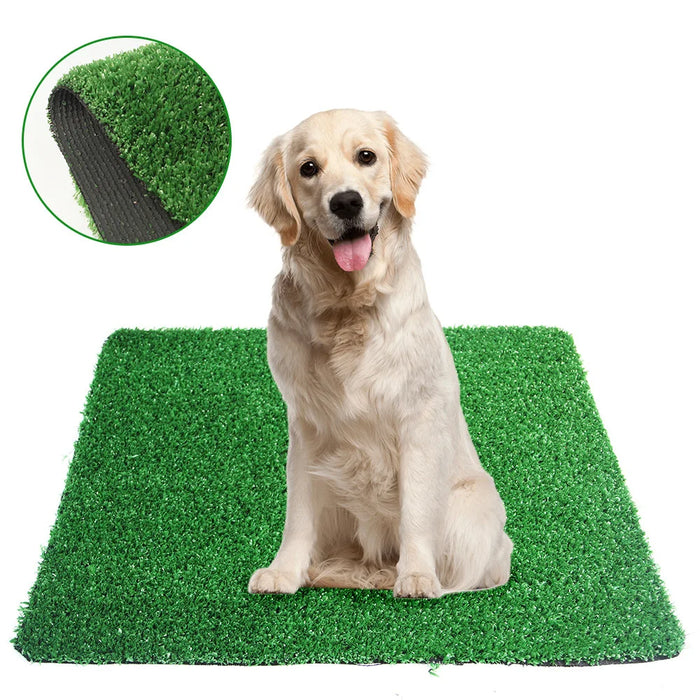 Dog Grass Pad for Toilet Training