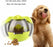 Treat Ball Interactive Food Dispensing Dog Toy , Assorted Colors