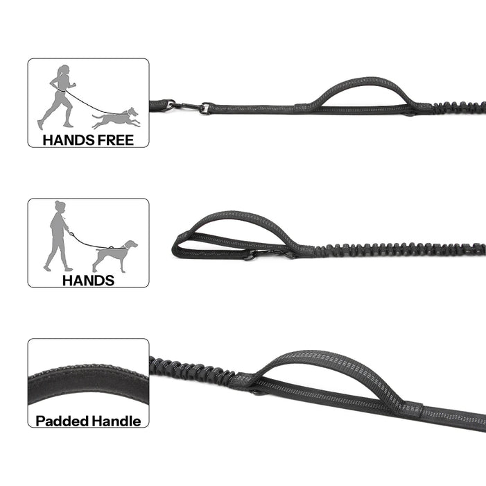 Petlovely Hands-Free Dog Leash for Pet Walking, Running, and Jogging
