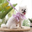 Floral Dog and Cat Vest Puppy Leash Harness