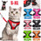 Cat/Dog Harness with Lead Leash, Adjustable Vest, and Polyester Mesh hat is Breathable and Reflective for Small Dog and Cats