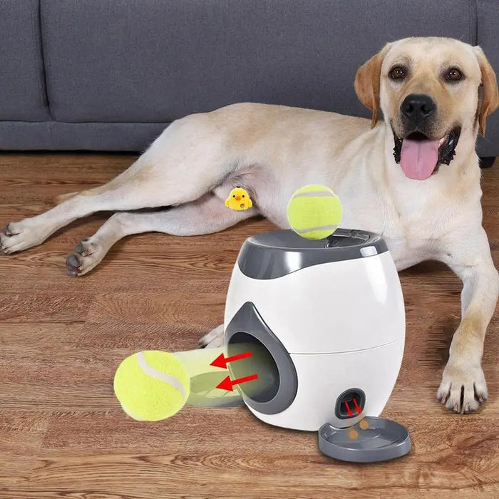 2 In 1 Tennis Ball Launcher and Puzzle Automatic Treat Dispenser