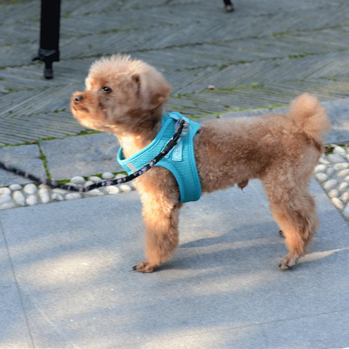 OLN Dog Harness Vest with Adjustable Pet Walking Lead Leash