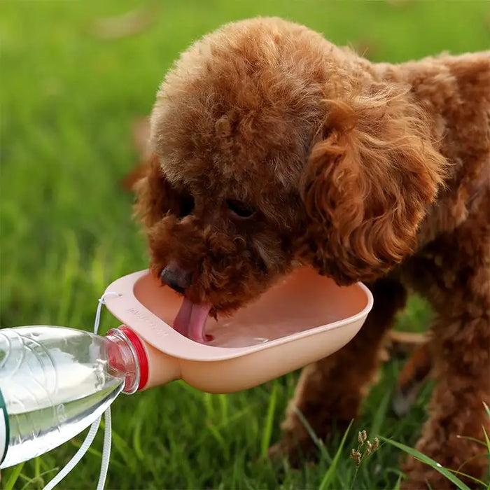 Portable Dog Water Feeder