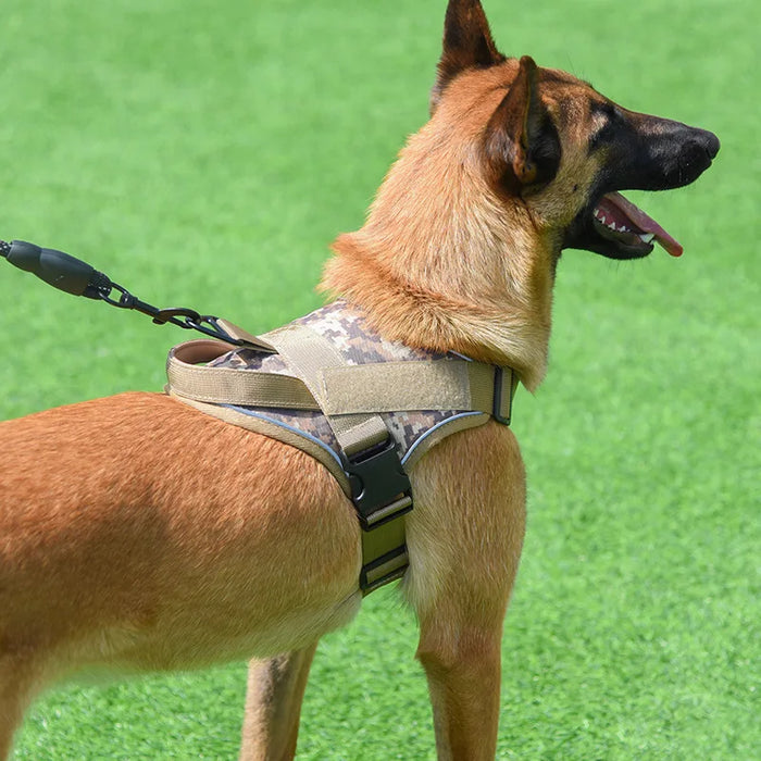 Tactical Chest Vest And Reflective Leash