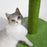 Cactus Scratcher Cat Trees and Scratching Post