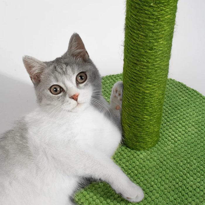 Cactus Scratcher Cat Trees and Scratching Post