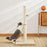 Deli Cat Scratching Post Sisal Rope 1 Level Minimalist Design Stable Base Indoor Use Durable Solid All Seasons China