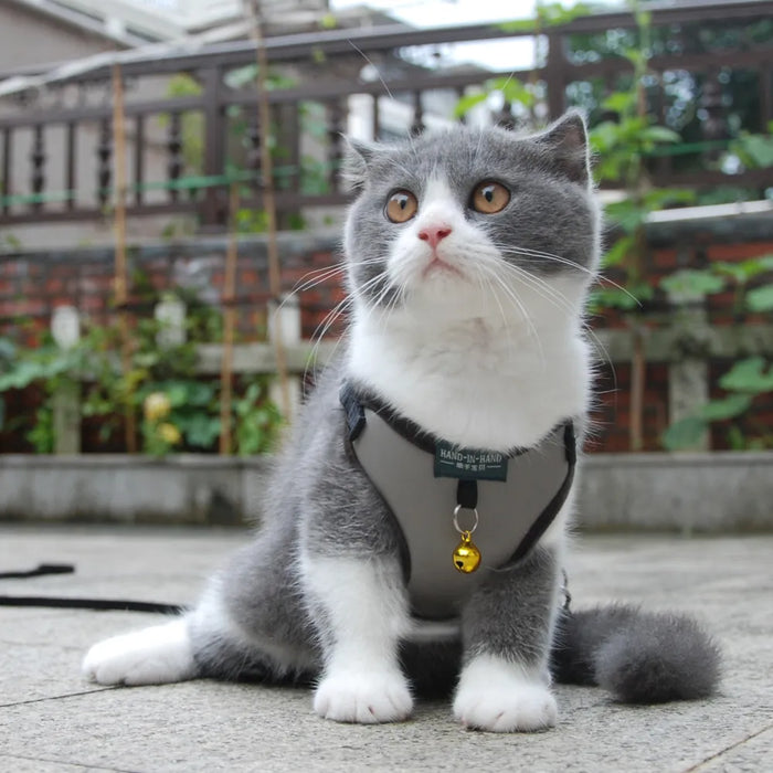 Hand-And-Hand Dog or Cat Harness Vest and Leash