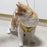 Hand-And-Hand Dog or Cat Harness Vest and Leash