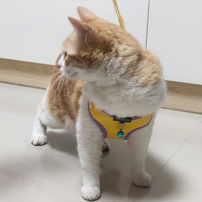 Hand-And-Hand Dog or Cat Harness Vest and Leash