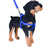 Pet Dog Harness Leash Adjustable Harness