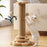 Indoor Cat Condo with Woven Rope Feather Spring Lure Entertainment Ball Featuring a Sharp-Claw Scratching Post