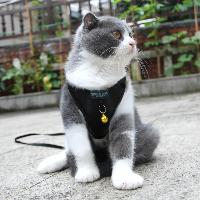 Hand-And-Hand Dog or Cat Harness Vest and Leash