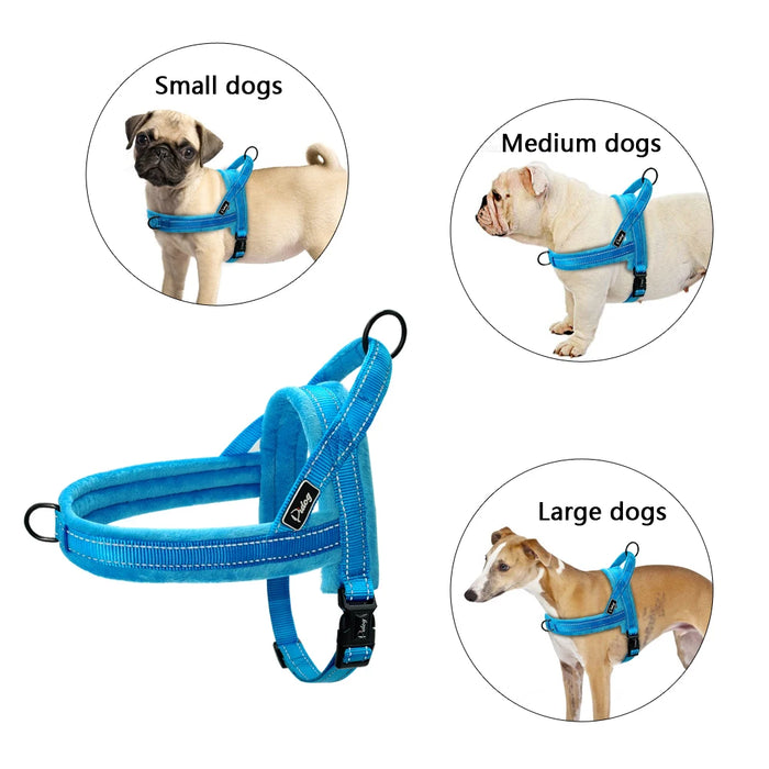 Pet Vest Padded Strap Harnesses