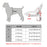 Pet Vest Padded Strap Harnesses