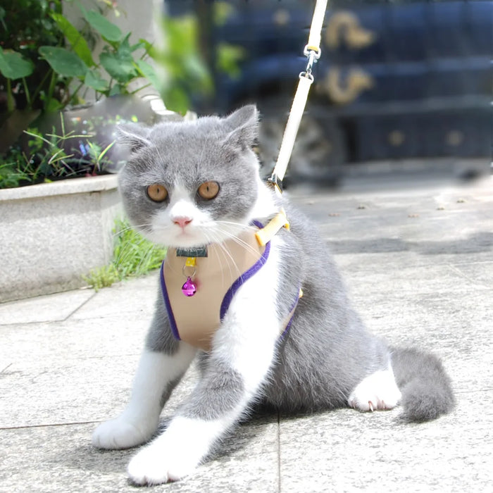 Hand-And-Hand Dog or Cat Harness Vest and Leash
