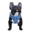 Reflective Dog Cat Harness Vest for Small Medium Dogs