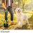 Portable Foldable Dog Poop Scooper No-Bend Pet Waste Pickup Tool Scoop for Large/Small Dogs Outdoor Walking  Lawn Cleaning Pet