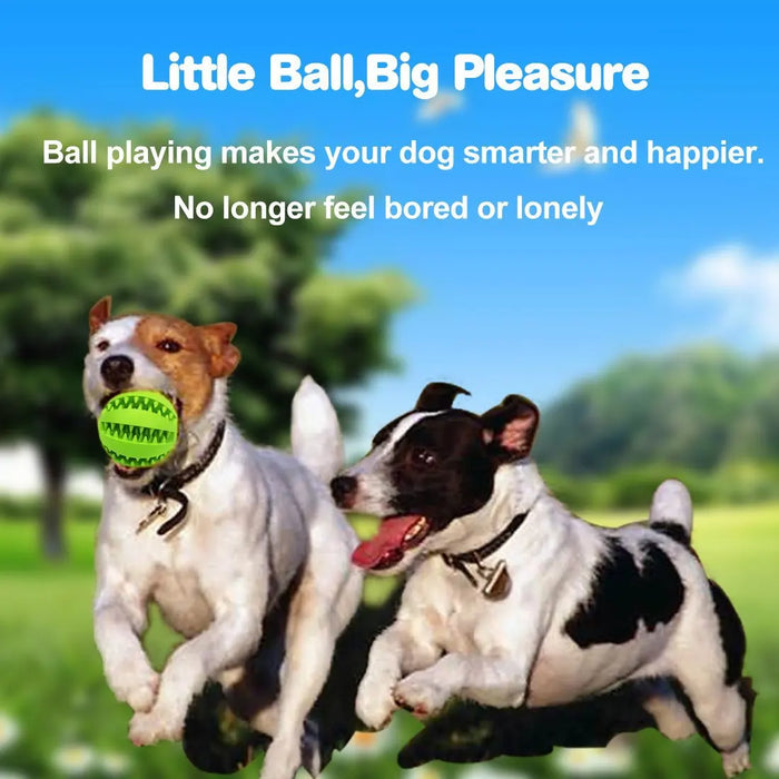 Tooth Cleaning Snack Ball Toy for Pet Products