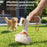 Portable Pet Poop Picker Dog Pooper Scooper Outdoor Walking Poop Shovel Waste Pick Picker Scoop Collect Puppy Cleaning Supplies