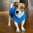 Small Dog Winter Fleece