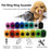Interactive Sound Clicker Trainer For Thumb Training No Battery For Dogs Cats Positive Reinforcement Train