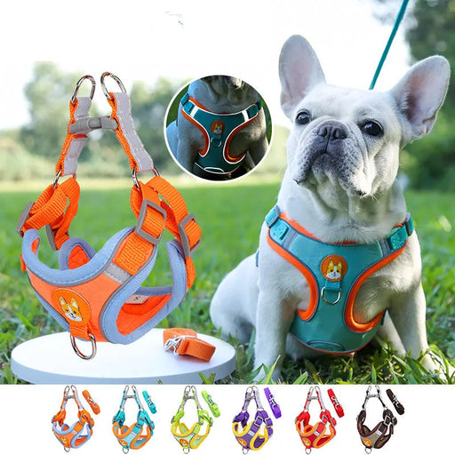 Adjustable Reflective Small and Medium Dog Harness with Leash