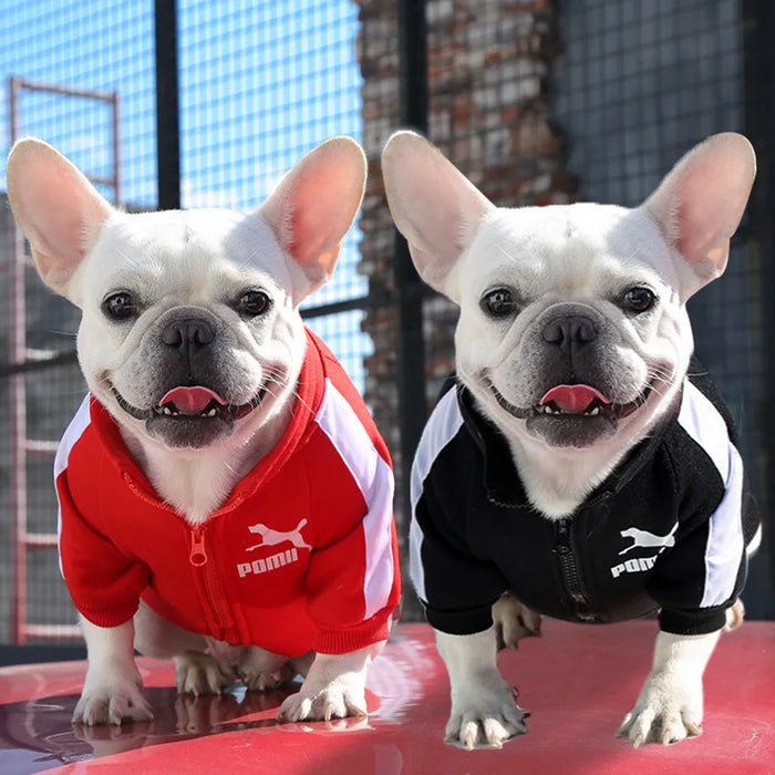 POMA Dog Baseball Jacket