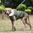 2024 Waterproof Padded Dog Vest/Jacket