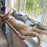 Winter Cat Window Hanging Hammock Bed Suction Cup Space Saving All Seasons Easy Install Pet Bed Cat Climbing Frame