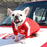 POMA Dog Baseball Jacket