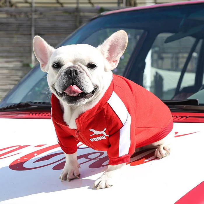 POMA Dog Baseball Jacket
