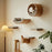 Indoor Wall-Mounted Cat Shelf Soft Cushioned Bed & Perch for Kittens & Adult Cats Cat Furniture for Climbing Sleeping & Playing