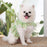 Floral Dog and Cat Vest Puppy Leash Harness