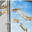 Suction Cup Cat Climbing Wooden Wall Jumping Cats Space Capsule Cat Nest Hanging Basket Pet Products Supplies Furniture