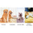 Interactive Sound Clicker Trainer For Thumb Training No Battery For Dogs Cats Positive Reinforcement Train