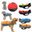 Sport Waterproof Raincoat and Reflective Vest