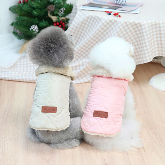 Witty Boy Jacket