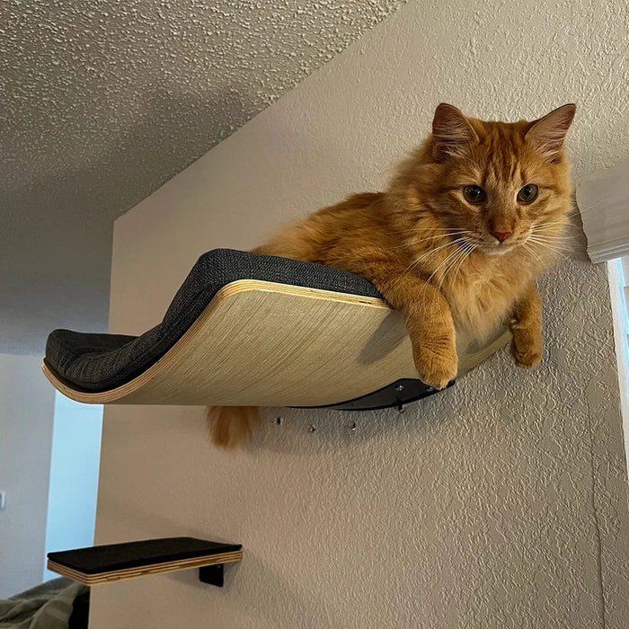 Indoor Wall-Mounted Cat Shelf Soft Cushioned Bed & Perch for Kittens & Adult Cats Cat Furniture for Climbing Sleeping & Playing