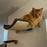 Wall Mounted Cat Shelf Bed with Soft Cushion Cat Perch Indoor Cat Furniture for Kittens & Adult Cats Climbing Sleeping & Playing