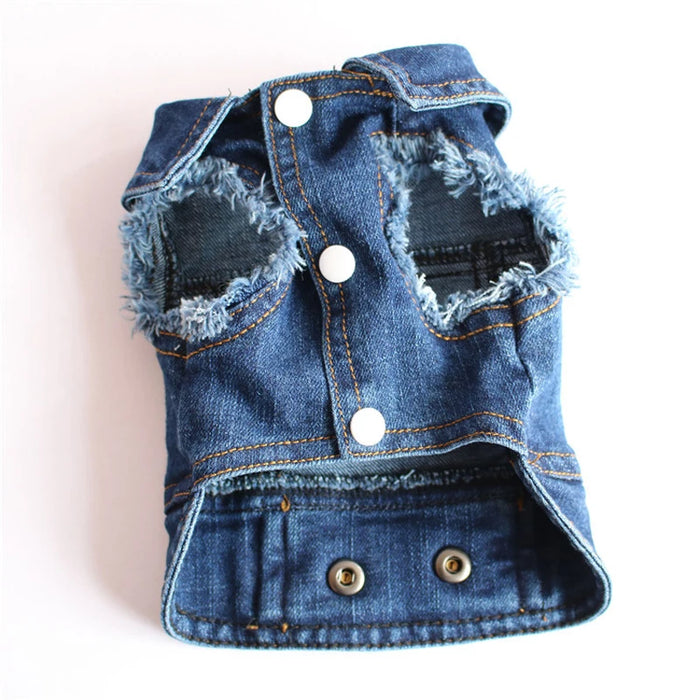 Miss Doggy Classic Denim Jacket