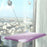 Winter Cat Window Hanging Hammock Bed Suction Cup Space Saving All Seasons Easy Install Pet Bed Cat Climbing Frame