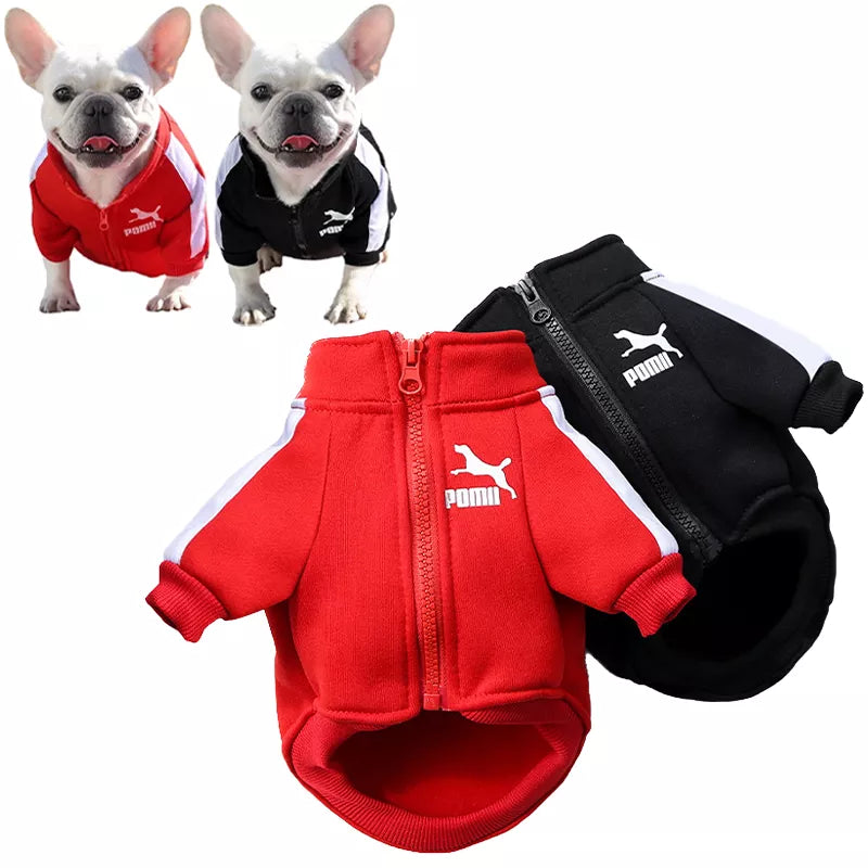 POMA Dog Baseball Jacket