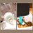 Large Capacity Automatic Water and Food Dispenser