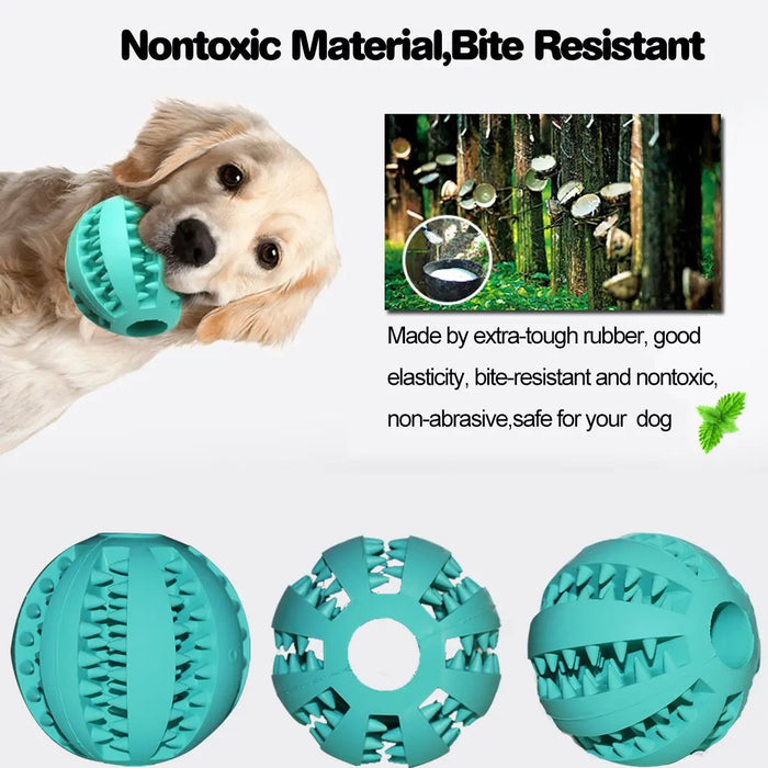 Tooth Cleaning Snack Ball Toy for Pet Products