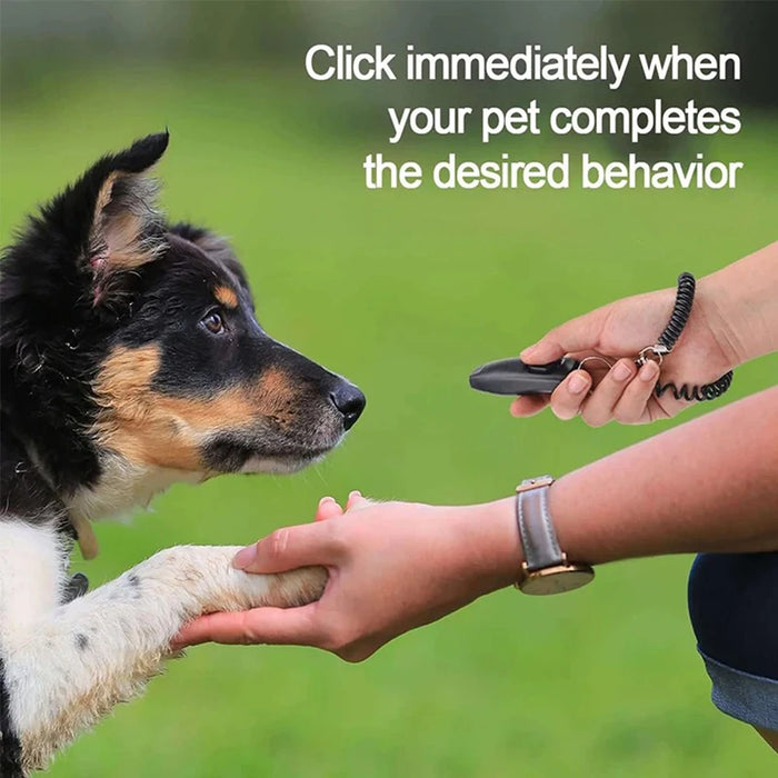 2 In 1 Pet Dog Clicker Dog Training Whistle Dog Trainer Puppy Stop Barking Training Aid Tool with Key Ring Pet dog Supplies