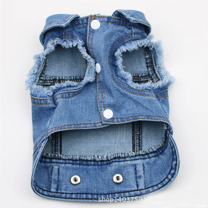 Miss Doggy Classic Denim Jacket